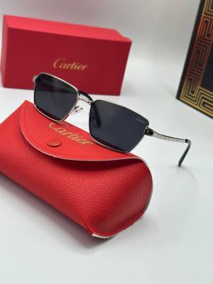 Cartier Gümüş İthal Unisex Güneş Gözlük G3779