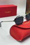 Cartier Gümüş İthal Unisex Güneş Gözlük G3779