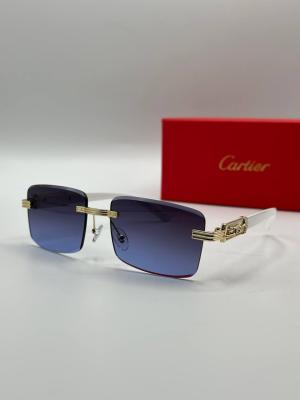 Cartier İthal Unisex Güneş Gözlük G3652-VLL