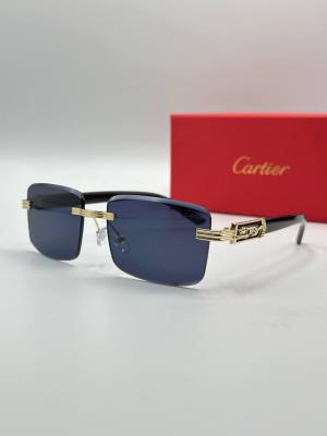 Cartier İthal Unisex Güneş Gözlük G3655-VLL
