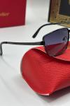 Cartier Siyah İthal Unisex Güneş Gözlük G3780