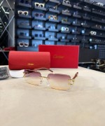 Cartier İthal  Gözlük C023