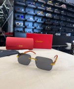 Cartier İthal  Gözlük C022