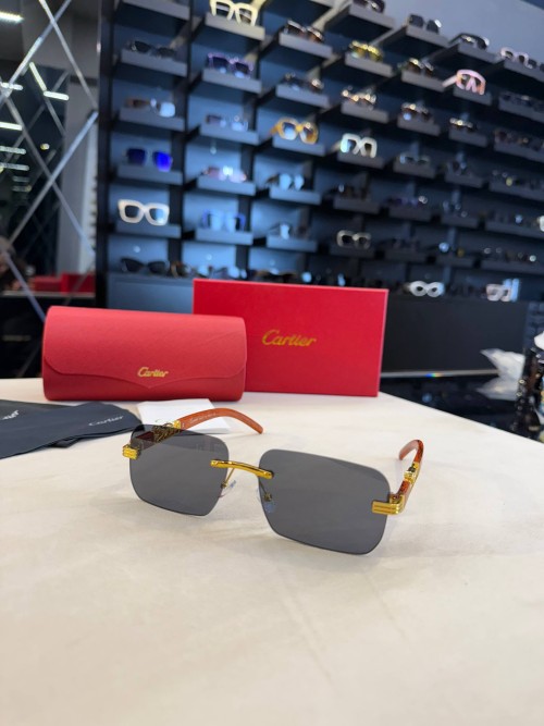 Cartier İthal  Gözlük C022