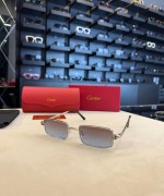 Cartier İthal  Gözlük C021