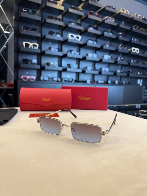 Cartier İthal  Gözlük C021