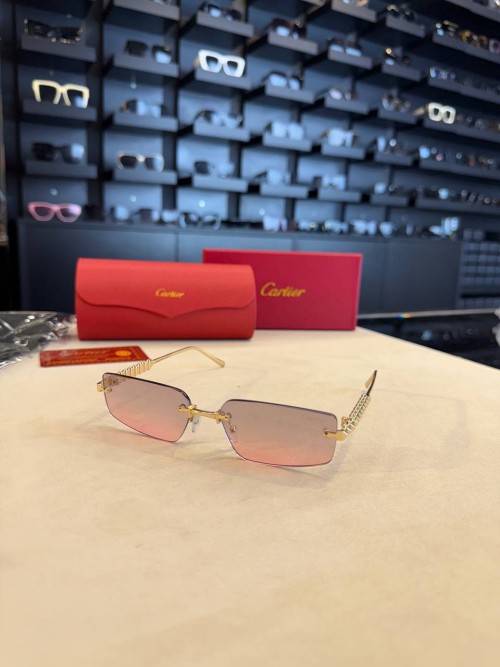 Cartier İthal  Gözlük C020