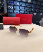 Cartier İthal Gözlük C018