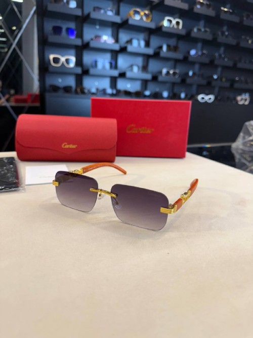 Cartier İthal Gözlük C018