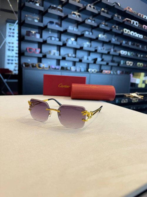 Cartier İthal Gözlük C016