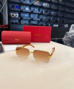 Cartier İthal Gözlük C015