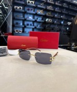 Cartier İthal  Gözlük C014