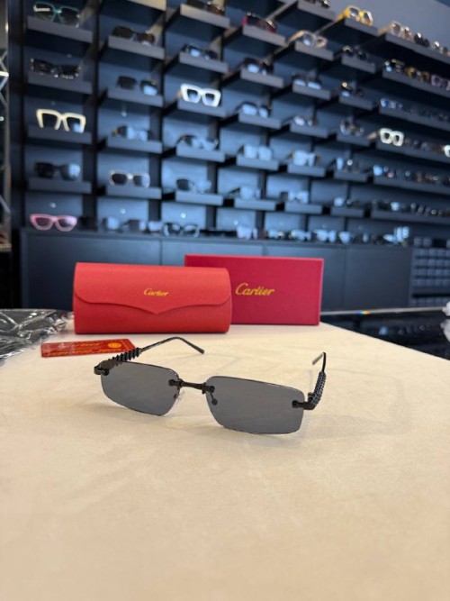 Cartier İthal  Gözlük C012