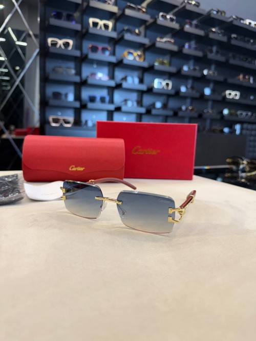 Cartier İthal  Gözlük C010