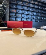 Cartier İthal  Gözlük C009