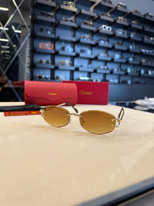 Cartier İthal  Gözlük C009