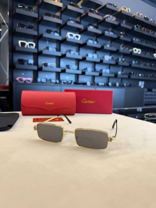 Cartier İthal  Gözlük C007