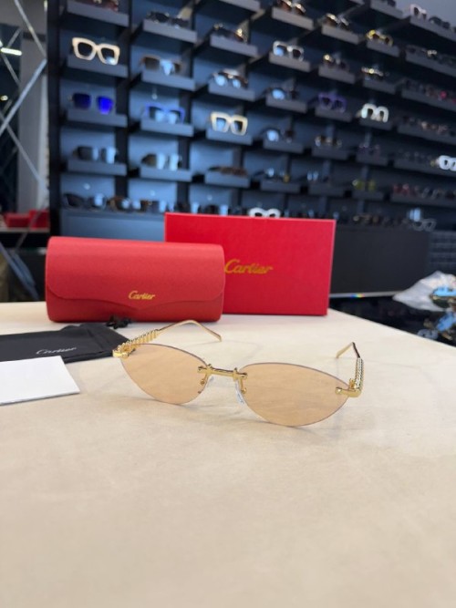 Cartier İthal Kadın Gözlük C005