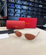 Cartier İthal Kadın Gözlük C003