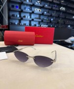 Cartier İthal Kadın Gözlük C001