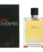 Hermes Terre D Hermes Erkek EDT 100ml ARC JLT Man